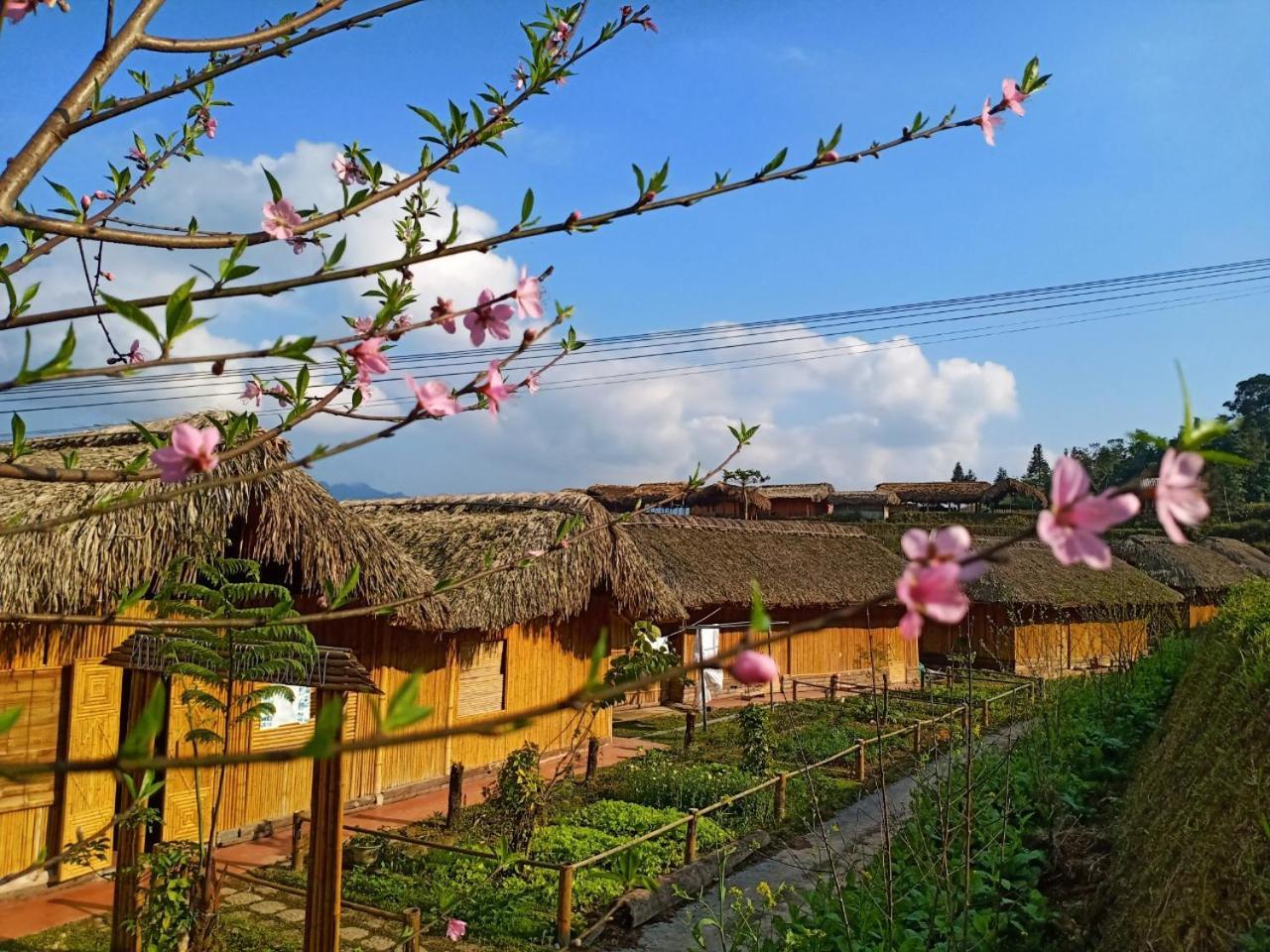Dao Homestay Hoang Su Phi Exterior foto