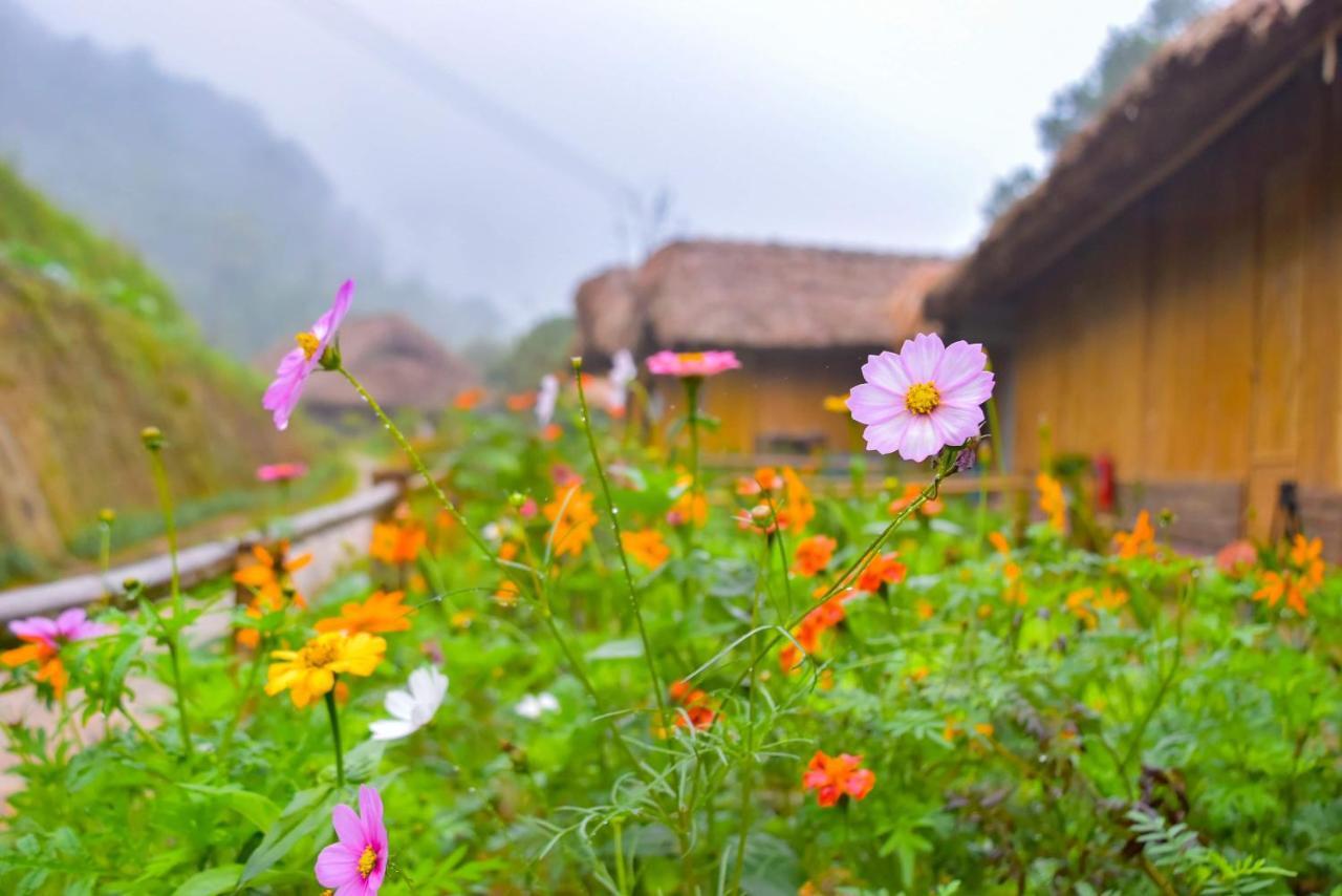 Dao Homestay Hoang Su Phi Exterior foto